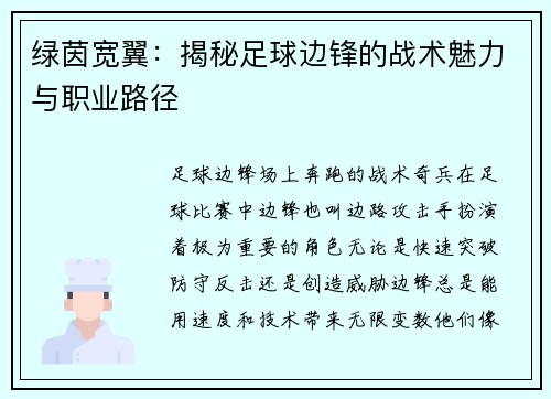 绿茵宽翼：揭秘足球边锋的战术魅力与职业路径